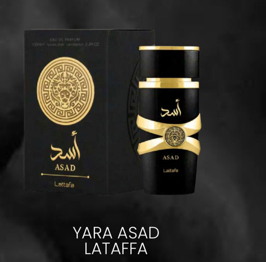 YARA ASAD LATAFFA